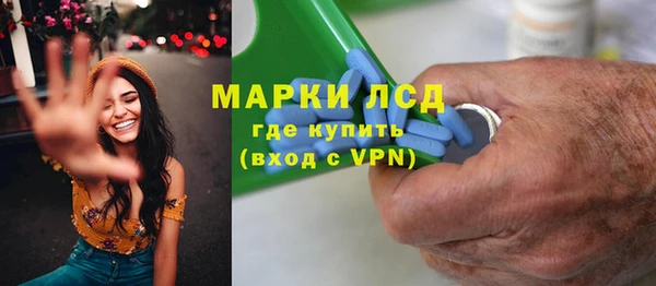 шишки Сясьстрой