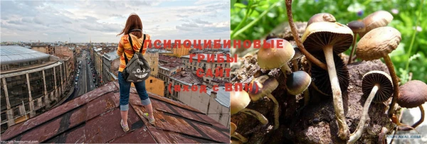скорость mdpv Михайловск